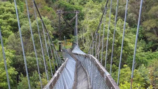 Sập cầu tại Colombia, hơn 20 người thương vong ảnh 1